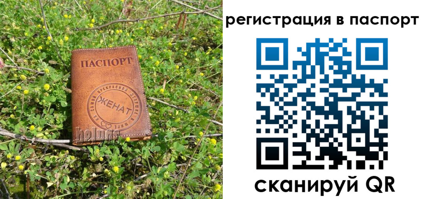 прописка для кредита в Алексине